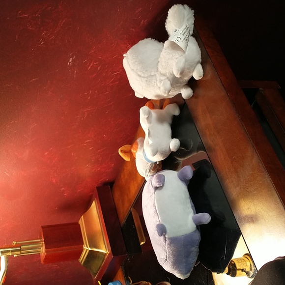 The Secret Life of Pets - Max the dog, Gidget the dog & Chloe the cat - Picture 6 of 10